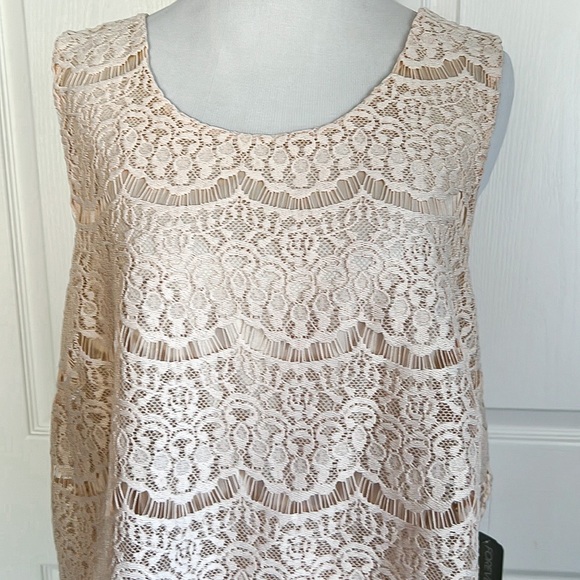 Forever 21 Plus Blush Lace and Tulle Sleeveless Party Dress Juniors Plus Sz 1X - Picture 2 of 16